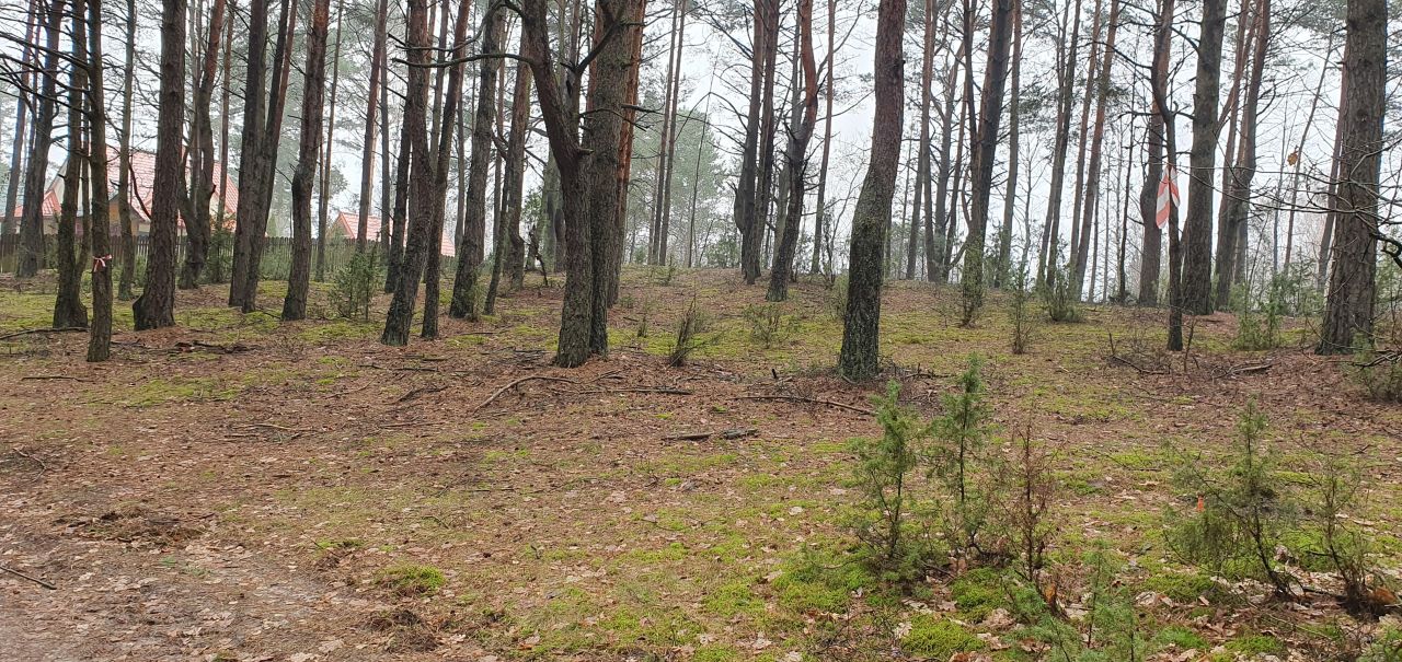 Działka rekreacyjna Nowe Łachy. Zdjęcie 2