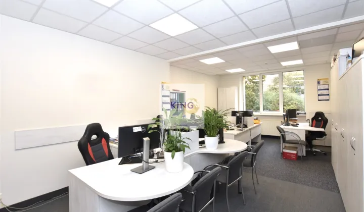 Lokal Szczecin Centrum