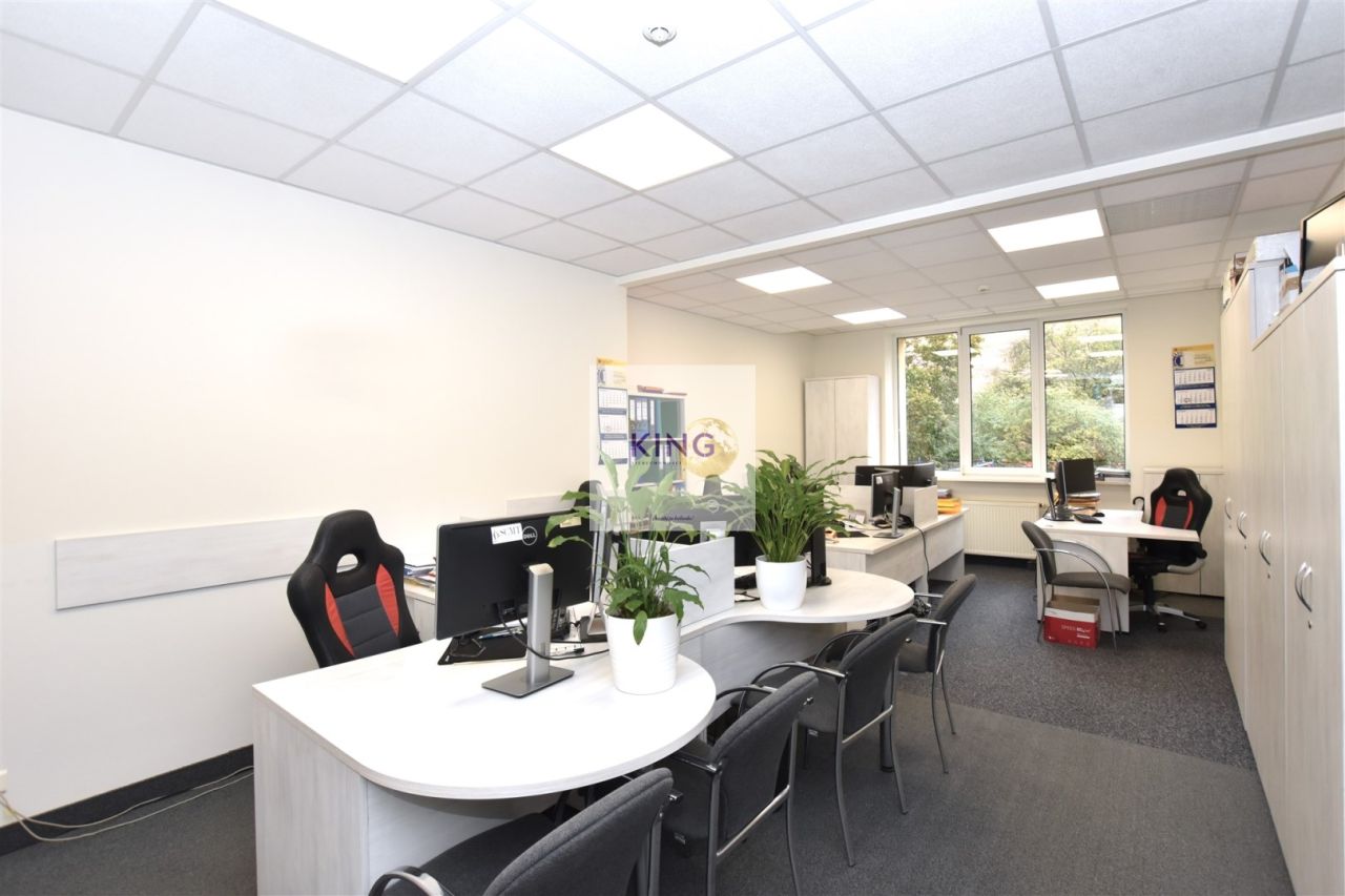 Lokal Szczecin Centrum