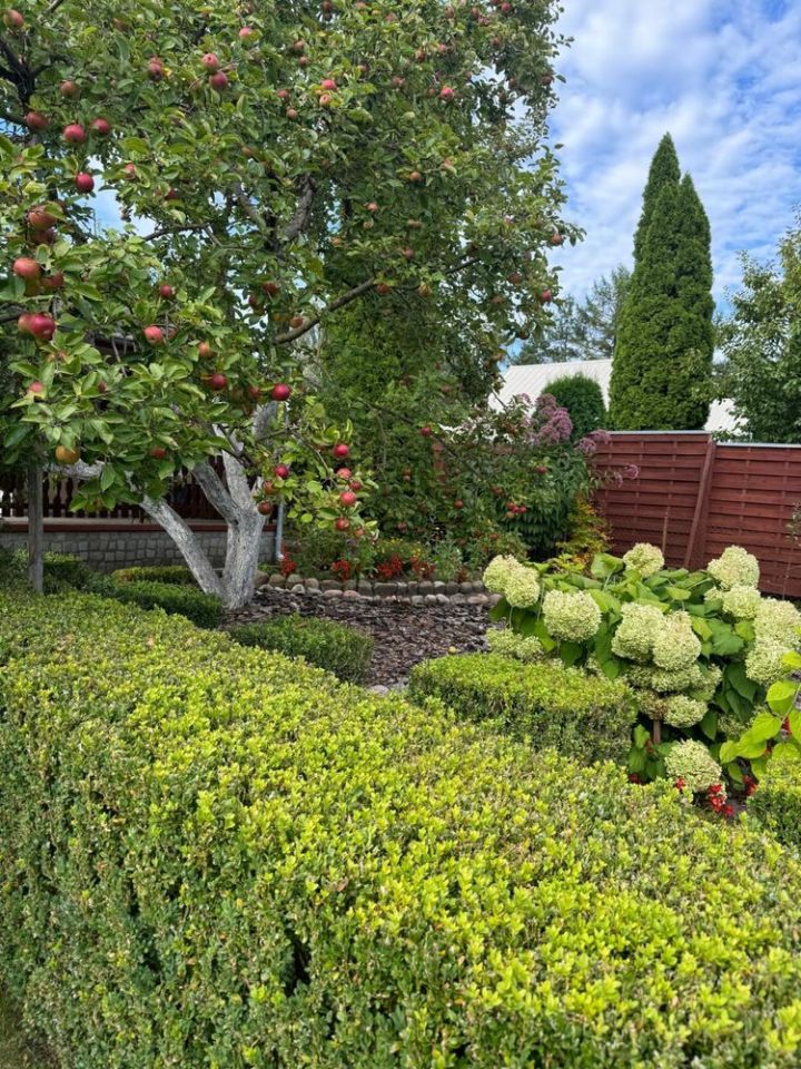 Działka rod Iława. Zdjęcie 8