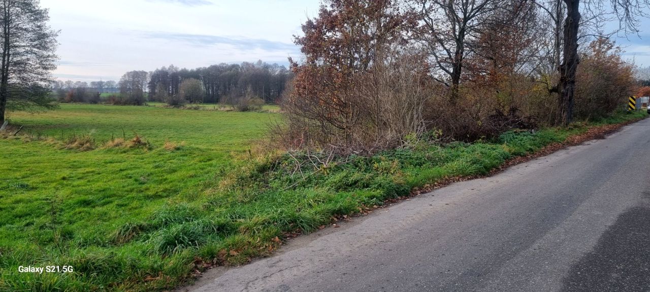 Działka rolna Lubieszewo. Zdjęcie 3