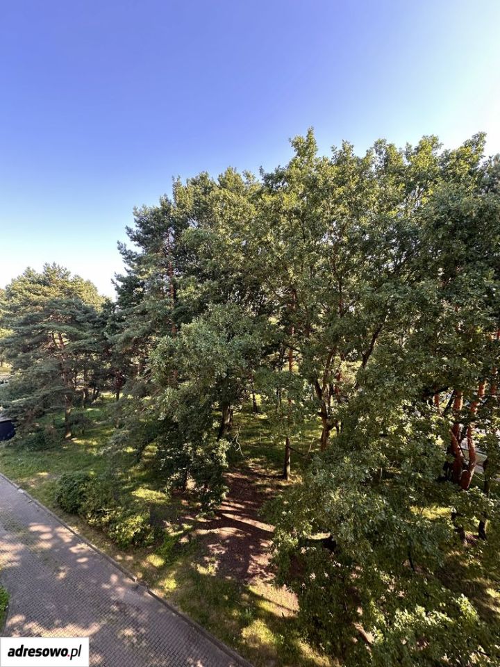 Mieszkanie 2-pokojowe Katowice Ligota. Zdjęcie 10