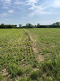 Działka budowlana Wola Przemykowska. Zdjęcie 3