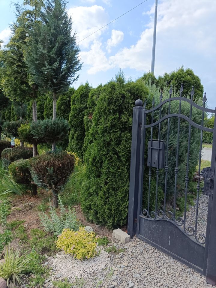 dom wolnostojący, 5 pokoi Lubaczów Mazury, ul. Akacjowa. Zdjęcie 2