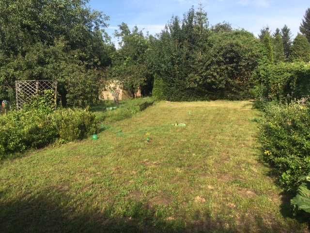 Działka rod Rypin. Zdjęcie 1