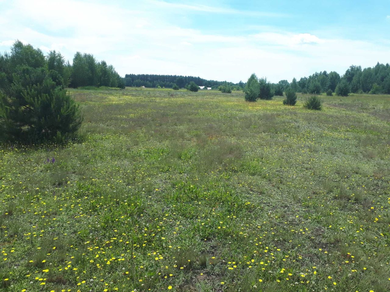 Działka rolna Kalonka. Zdjęcie 8