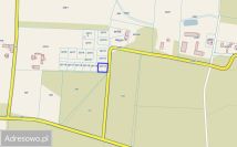 Działka rolno-budowlana Murzynowo Leśne. Zdjęcie 4