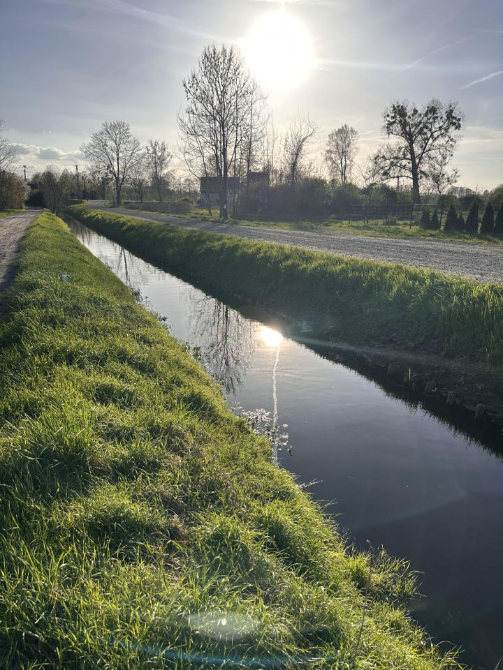 Działka budowlana Baranowice. Zdjęcie 12