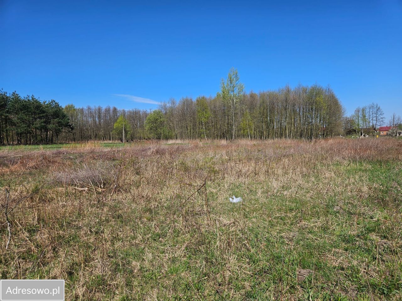 Działka budowlana Lubasz. Zdjęcie 4