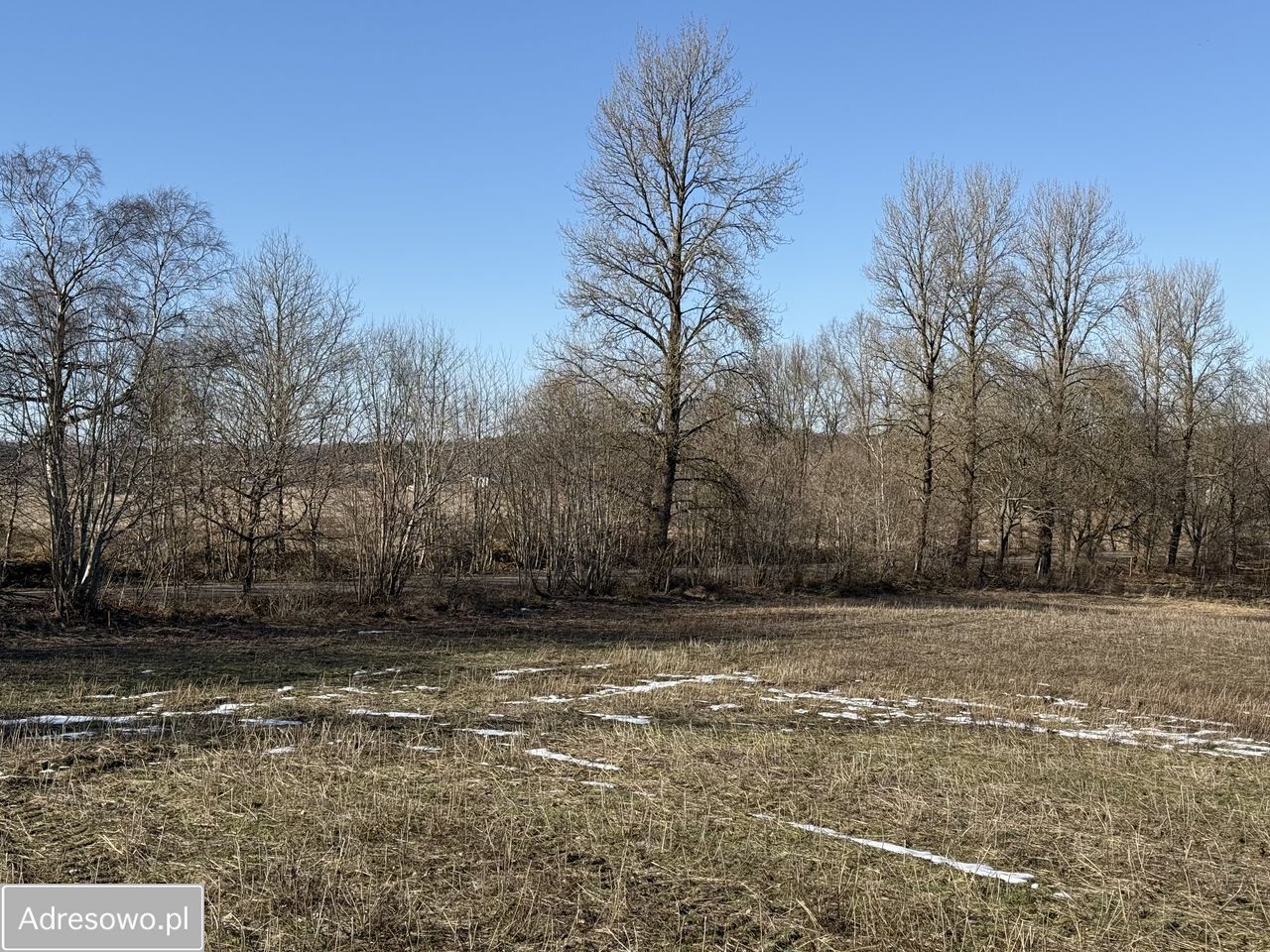 Działka siedliskowa Chrzanowo. Zdjęcie 4