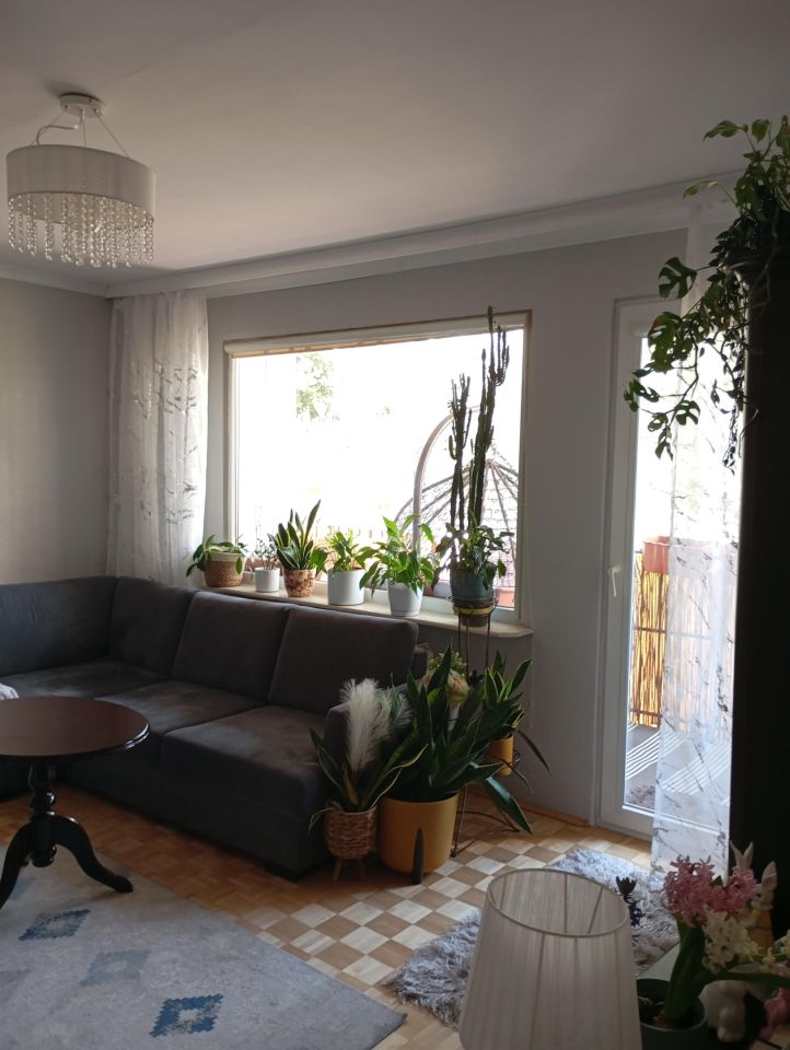 Mieszkanie 2-pokojowe Żyrardów Teklin, Skrowaczewskiego 31 m2. Zdjęcie 3