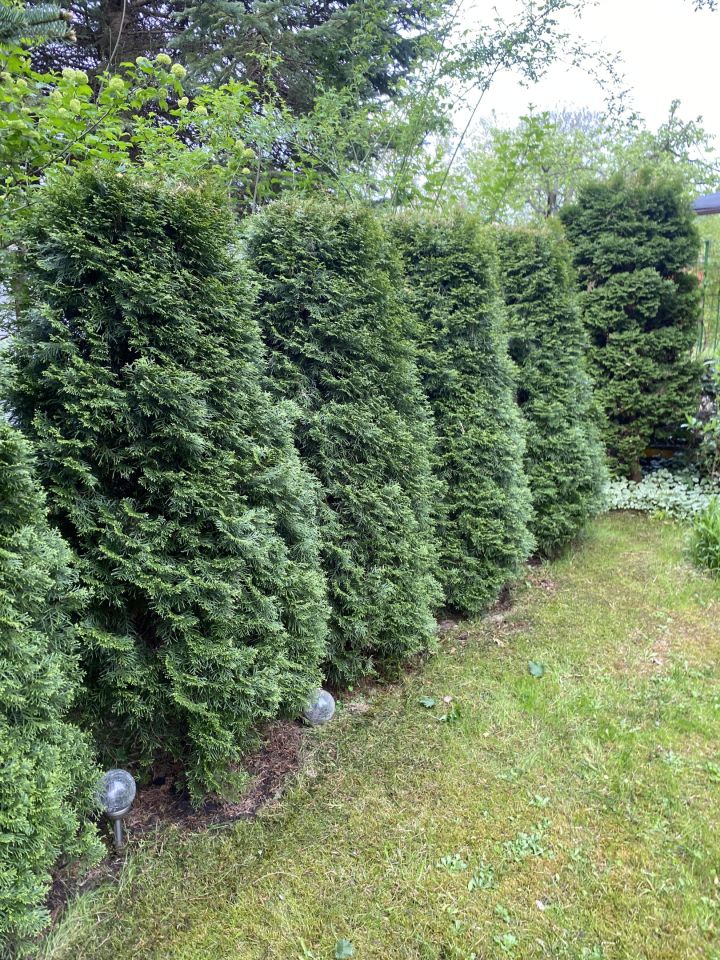 Działka rod Łódź Teofilów, Krzysztofa Baczynskiego. Zdjęcie 3