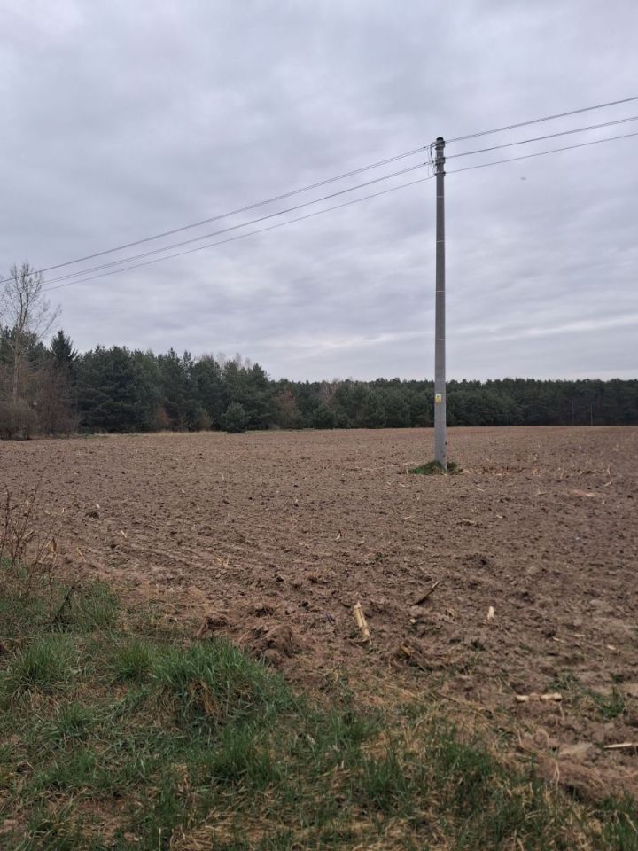 Działka budowlana Baranówko. Zdjęcie 5