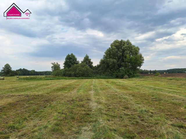 Działka rolna Wilcza Kłoda. Zdjęcie 6