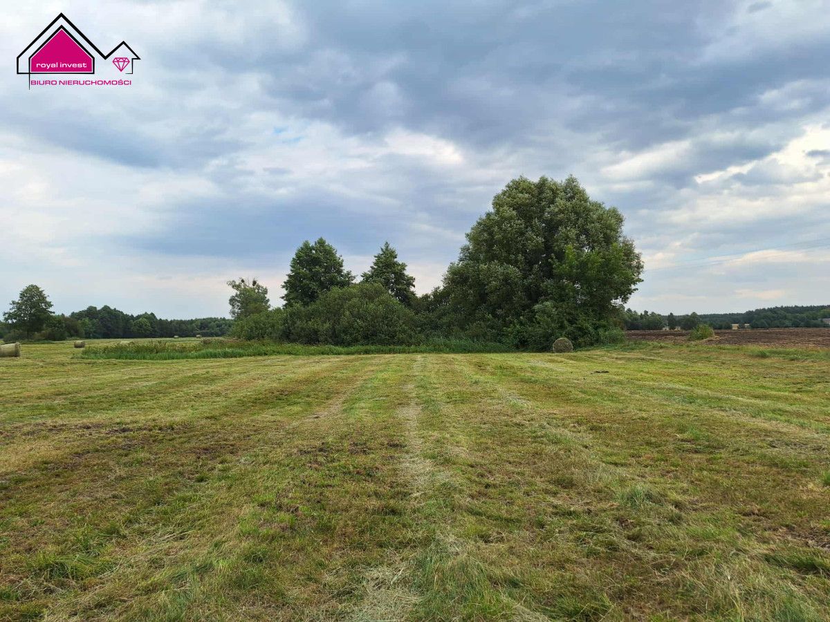 Działka rolna Wilcza Kłoda. Zdjęcie 6