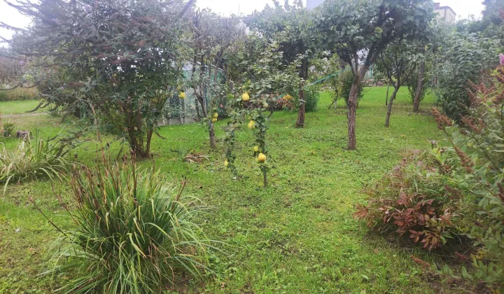 Działka rod Gorzów Wielkopolski Zakanale 