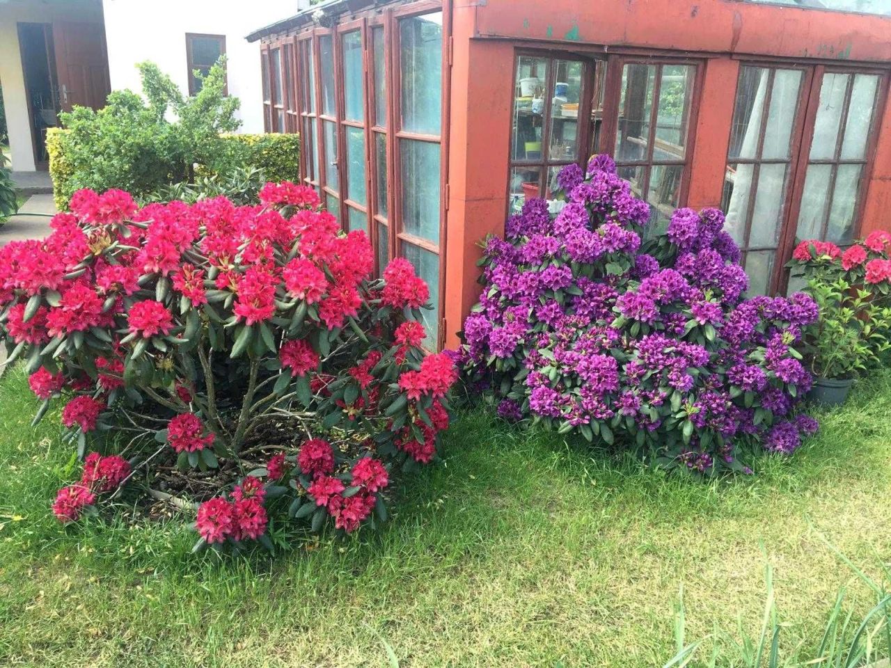 Działka rod Piła. Zdjęcie 6