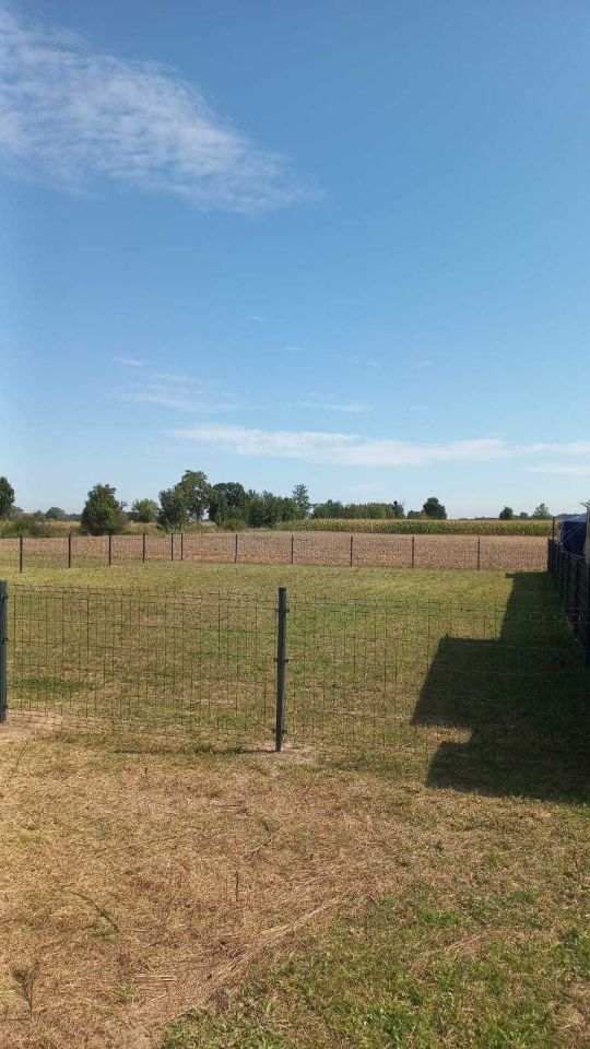 Działka rekreacyjna Kantorowice. Zdjęcie 6