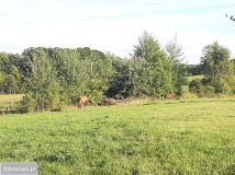 Działka budowlana Bukwałd