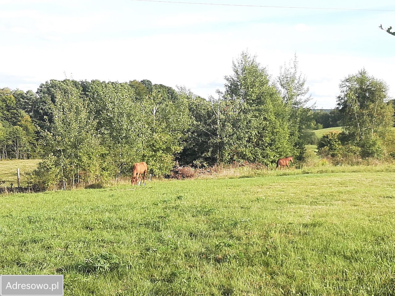Działka budowlana Bukwałd