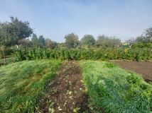 Działka rod Słupsk. Zdjęcie 3