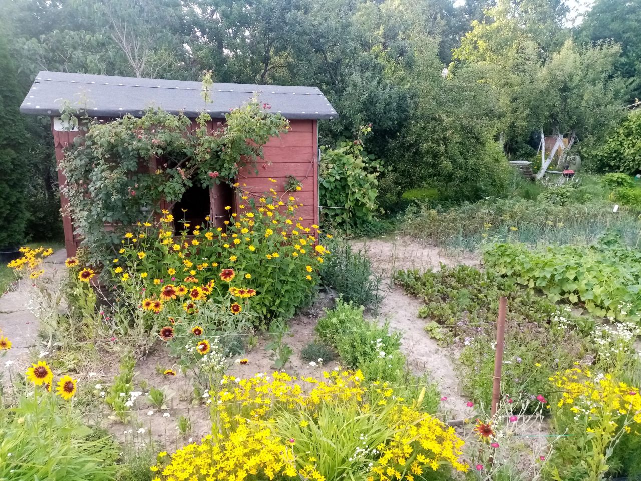 Działka rod Lublin Zimne Doły, ul. Wojciechowska. Zdjęcie 12