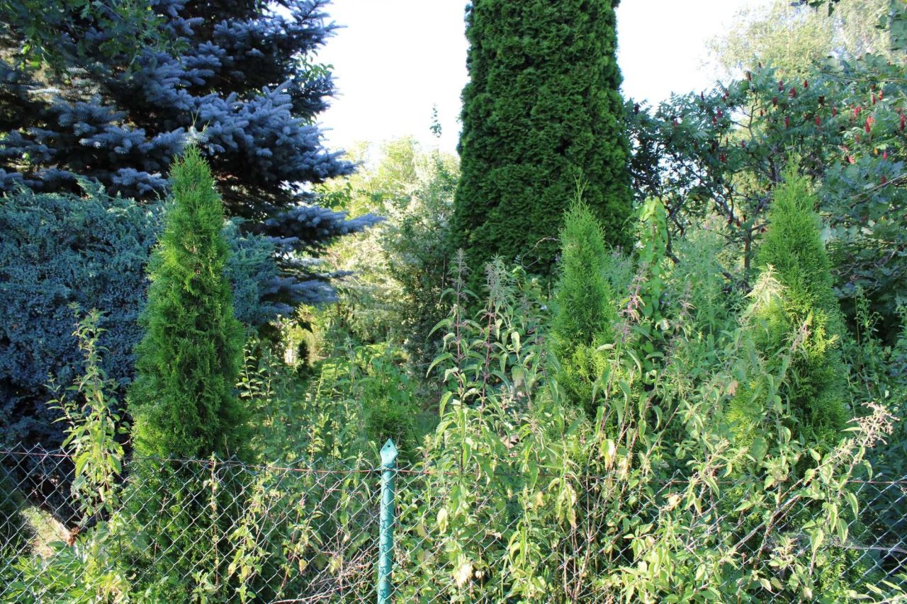 Działka rod Piła, ul. Koszycka. Zdjęcie 7