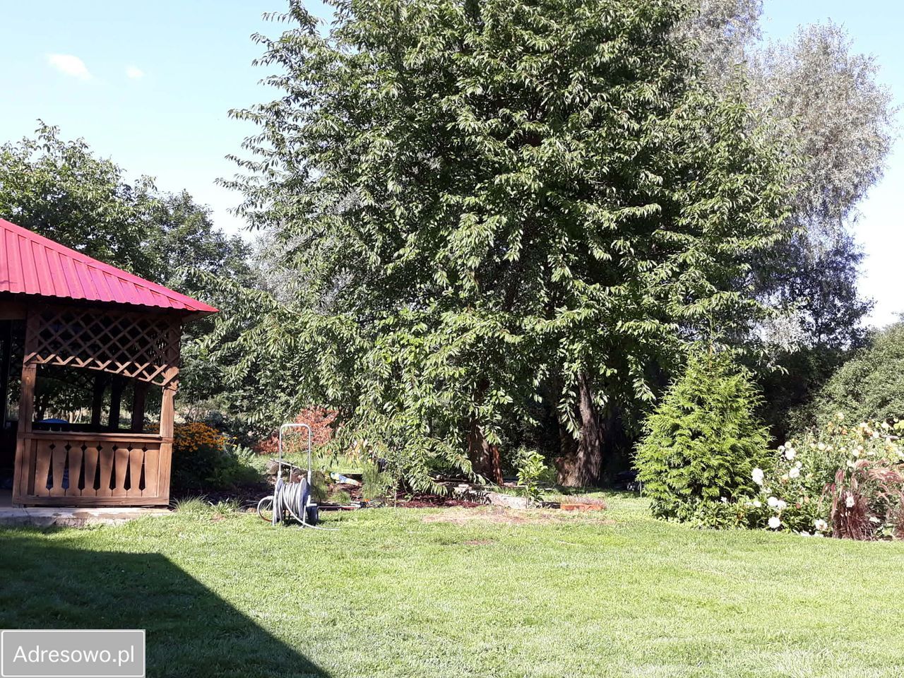 Działka inwestycyjna Grabce-Towarzystwo, ul. Główna. Zdjęcie 9