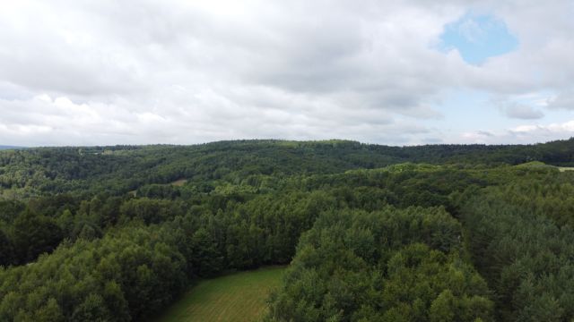 Działka budowlana Nowy Borek. Zdjęcie 3