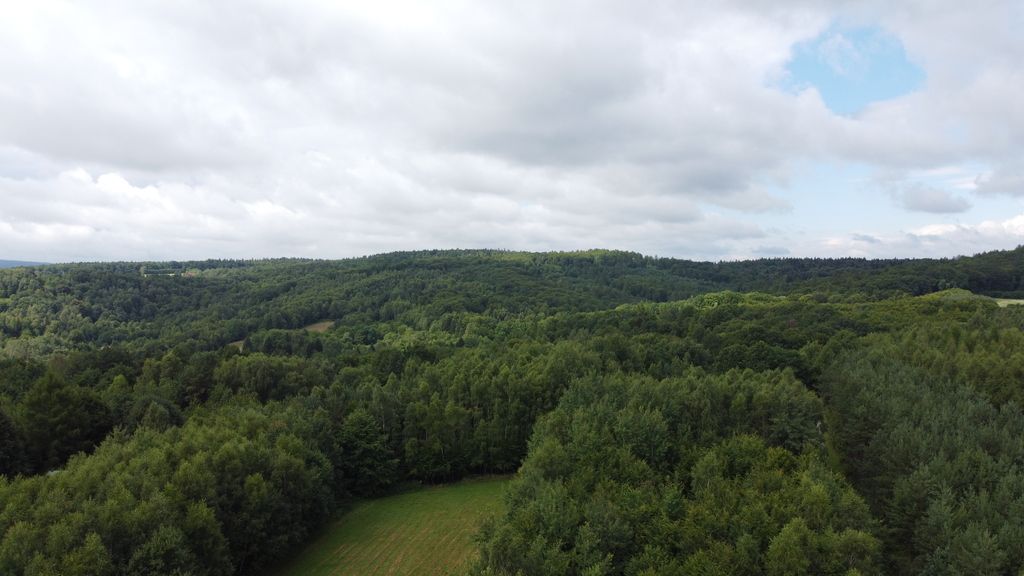 Działka budowlana Nowy Borek. Zdjęcie 3