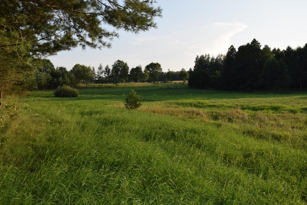 Działka budowlana Rydzewo. Zdjęcie 8