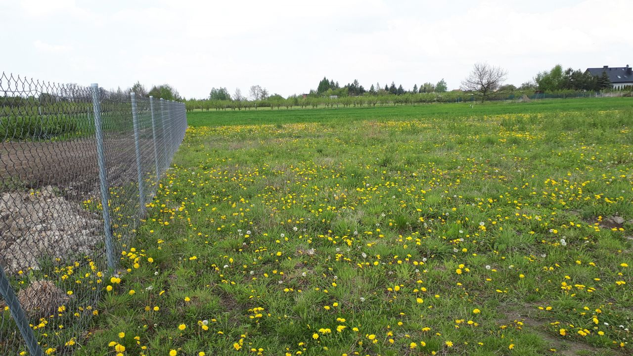 Działka budowlana Piotrków Trybunalski Michałów, ul. Michałowska. Zdjęcie 2