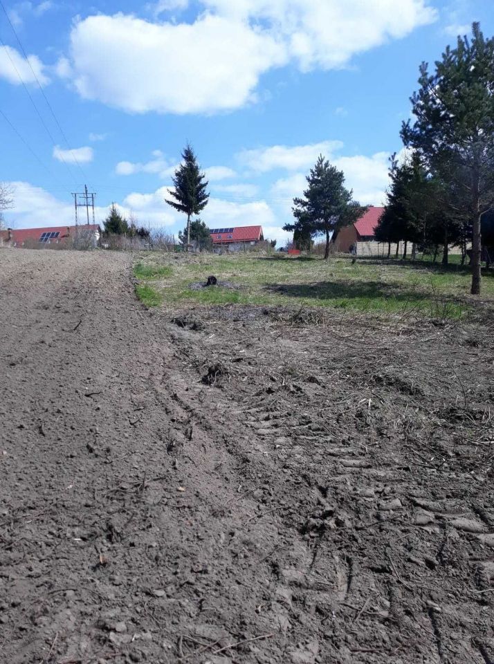 Działka rolno-budowlana Patryki. Zdjęcie 8