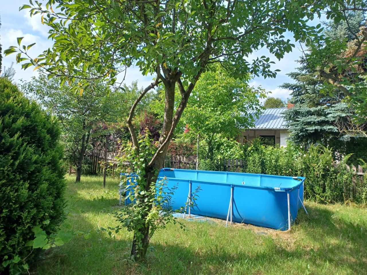 Działka rod Komorów. Zdjęcie 8