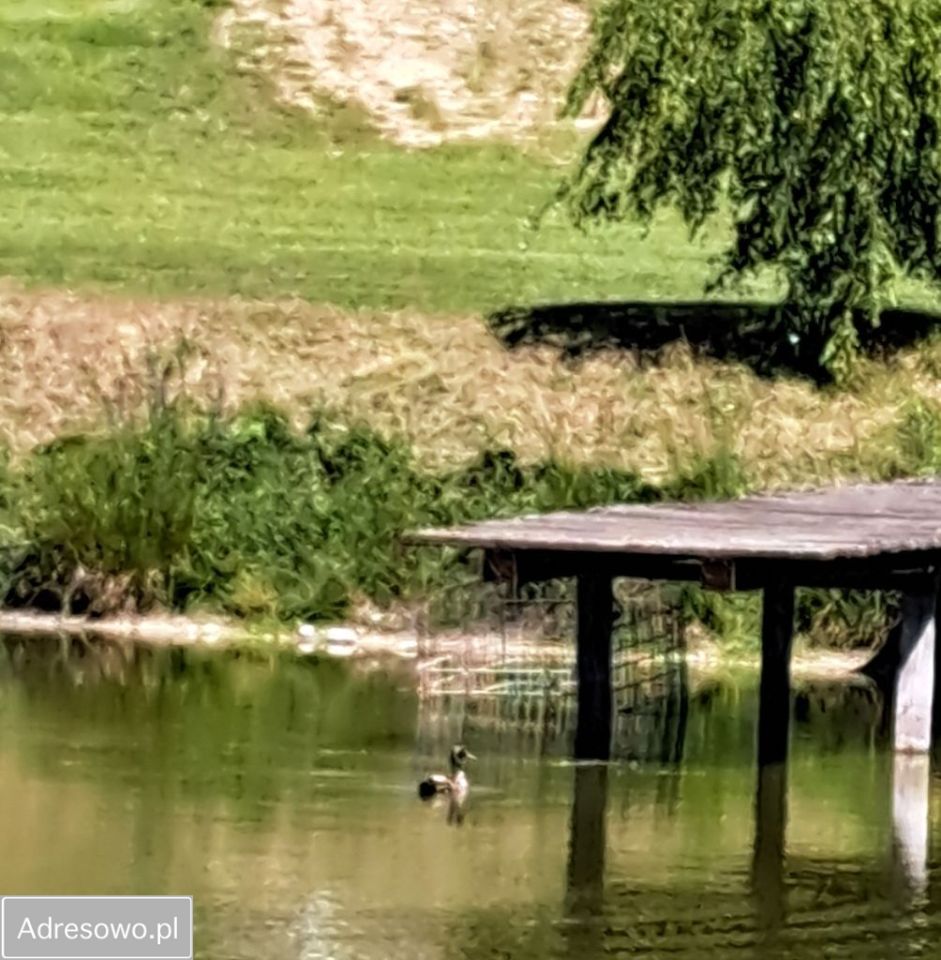 Działka budowlana Wólka Żabna. Zdjęcie 16