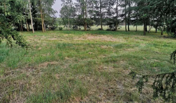 Działka budowlana Modzele-Bartłomieje