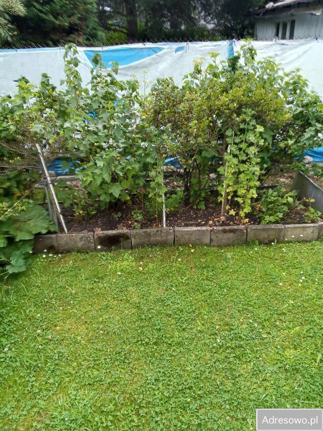 Działka rod Bytom. Zdjęcie 2