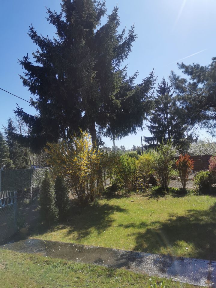 Działka rod Bydgoszcz, ul. Chemiczna. Zdjęcie 7