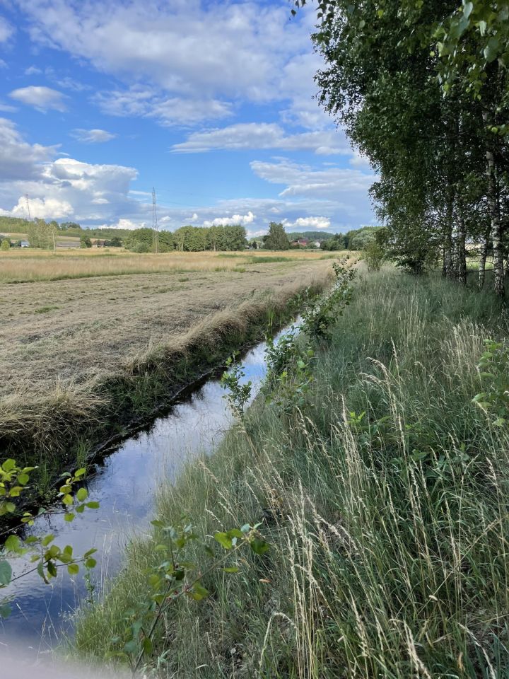 Działka siedliskowa Kozia Wieś. Zdjęcie 7