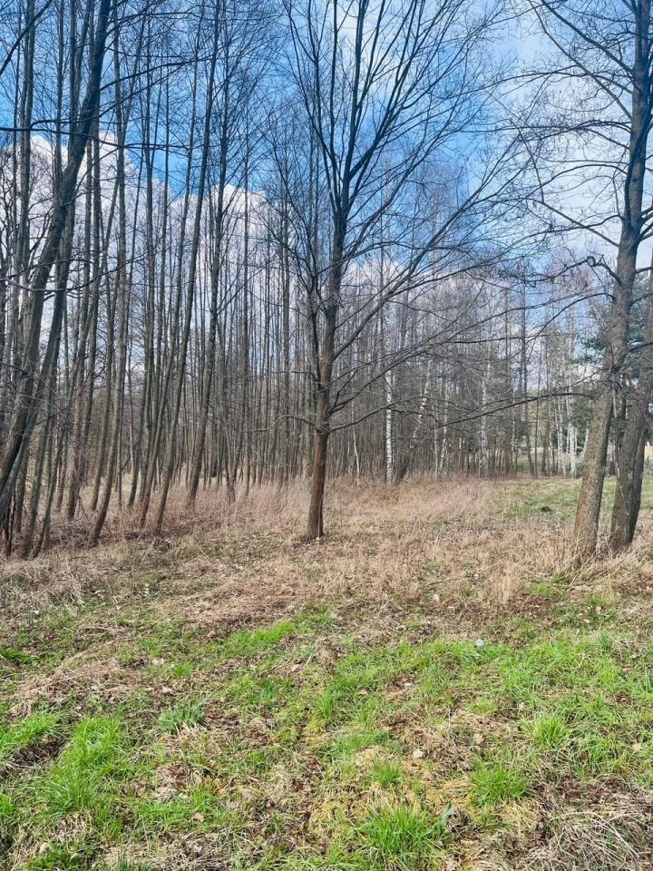 Działka rolna Gorzewo. Zdjęcie 3