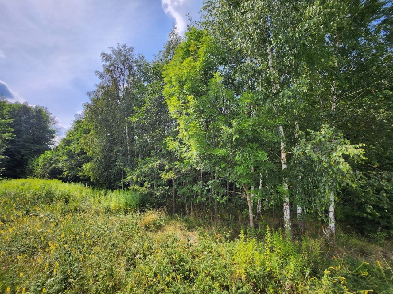 Działka Krowica. Zdjęcie 2