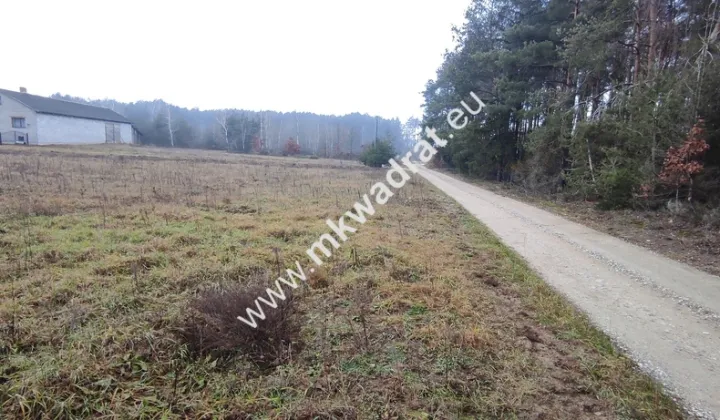 Działka budowlana Tłumy, ul. Poprzeczna