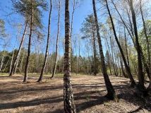 Działka budowlana Puste Łąki. Zdjęcie 4