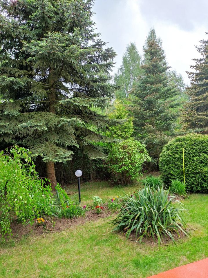 dom wolnostojący, 5 pokoi Sulejów Podklasztorze, ul. Książęca. Zdjęcie 11