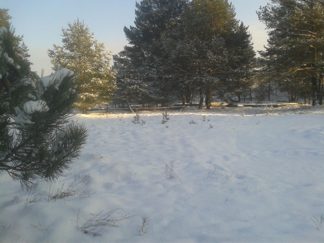 Działka rekreacyjna Martiany. Zdjęcie 11