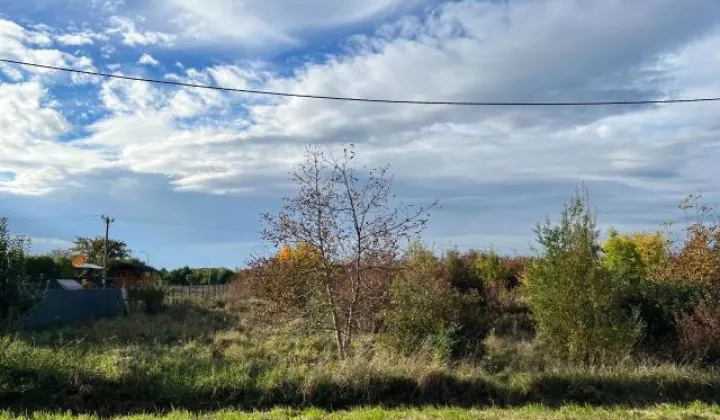 Działka budowlana Bogunów, ul. Marii Konopnickiej