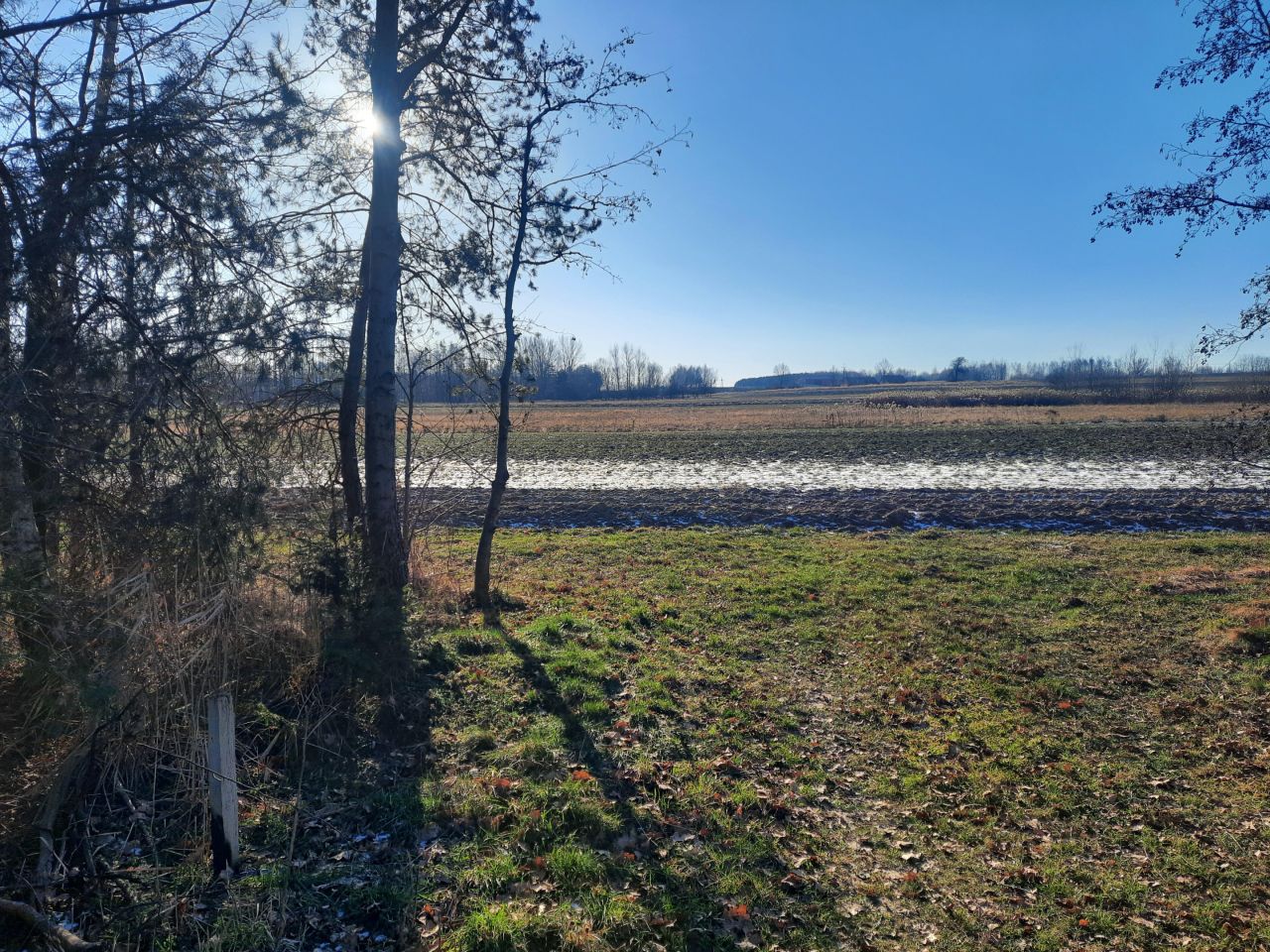 Działka budowlana Borzymów. Zdjęcie 7