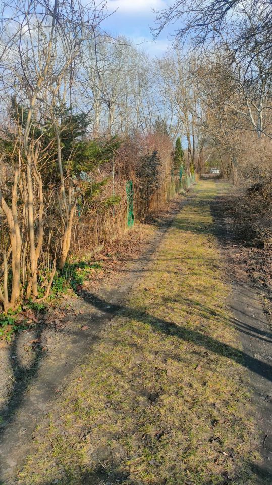 Działka rod Warszawa Wilanów, ul. Łucznicza. Zdjęcie 3