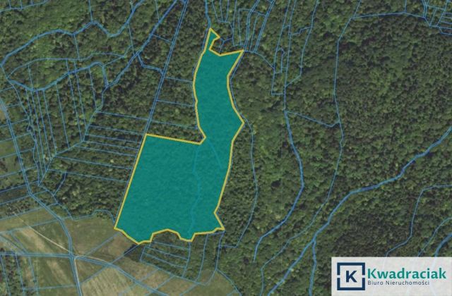 Działka leśna Stary Żmigród. Zdjęcie 1