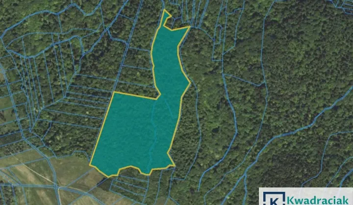 Działka leśna Stary Żmigród